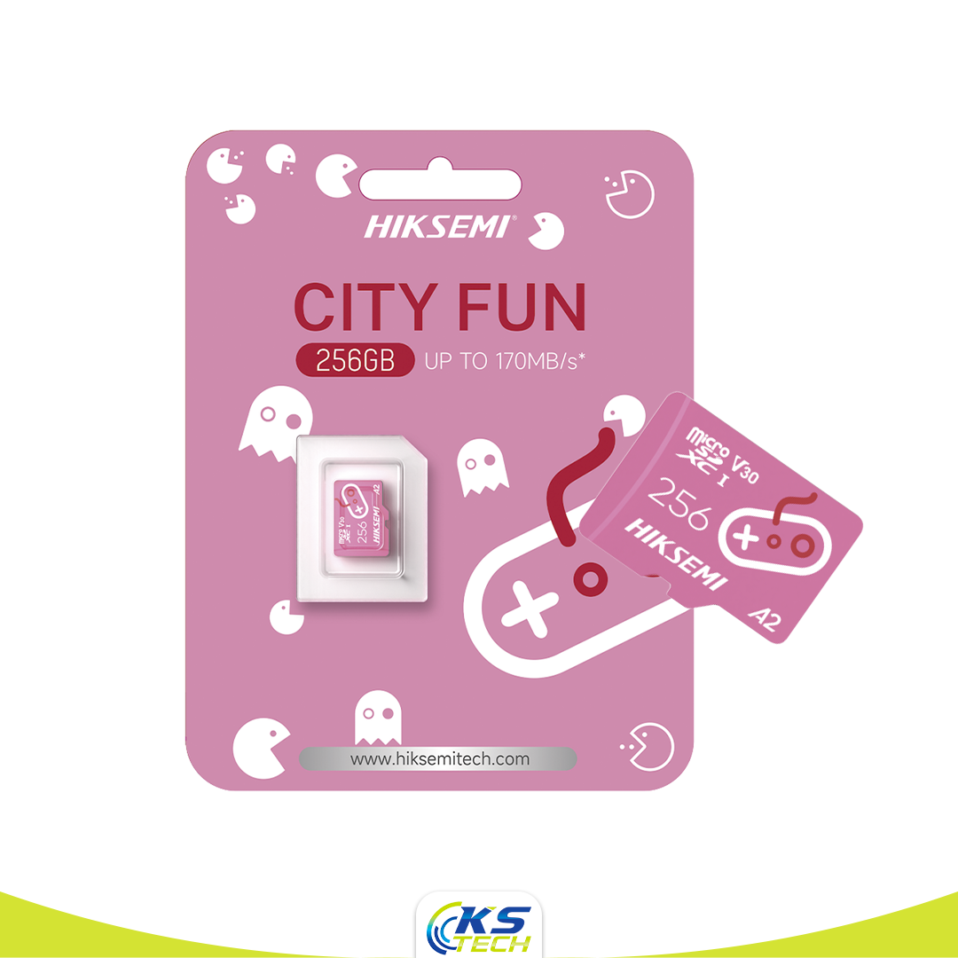 USB HIKSEMI City Fun 256 Go