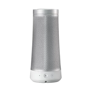 Smart Wi-Fi Speaker with Voice Control, Multi-Room Audio & Rich Sound